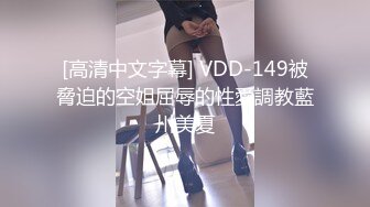 [高清中文字幕] VDD-149被脅迫的空姐屈辱的性愛調教藍川美夏