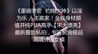 《重磅泄密✿约炮大神》以淫为乐 人生赢家！金钱身材颜值并纯PUA高手【宋大漂亮】最新露脸私拍，专注玩肏极品高端外围女模