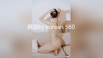 韩国bj korean 560