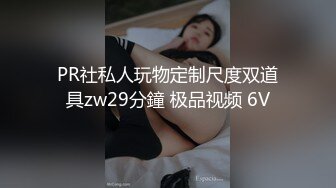 PR社私人玩物定制尺度双道具zw29分鐘 极品视频 6V