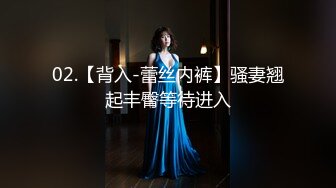 02.【背入-蕾丝内裤】骚妻翘起丰臀等待进入