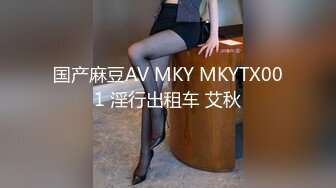 国产麻豆AV MKY MKYTX001 淫行出租车 艾秋