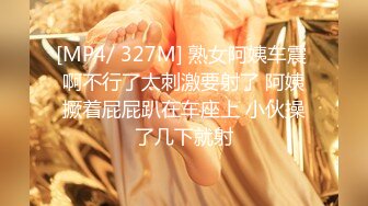 [MP4/ 327M] 熟女阿姨车震 啊不行了太刺激要射了 阿姨撅着屁屁趴在车座上 小伙操了几下就射