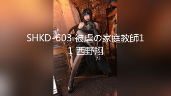 SHKD-603 被虐の家庭教師11 西野翔