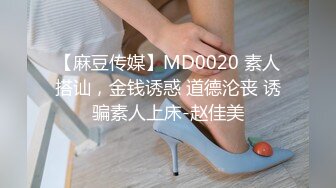 【麻豆传媒】MD0020 素人搭讪，金钱诱惑 道德沦丧 诱骗素人上床-赵佳美