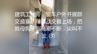 建筑工地旁，驱车户外开展群交盛宴，车轮战交替上场，把贱母狗干到高潮不断，尖叫不止 (3)