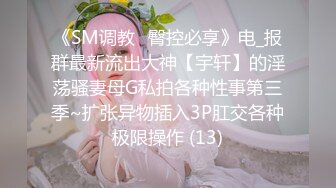 《SM调教✅臀控必享》电_报群最新流出大神【宇轩】的淫荡骚妻母G私拍各种性事第三季~扩张异物插入3P肛交各种极限操作 (13)