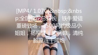 [MP4/ 1.07G]&nbsp;&nbsp;全国探花总探长，铁牛爱徒重磅登场，2500网约极品小姐姐，杨柳腰，蜜桃臀，清纯脸庞连干两炮