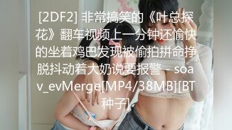 [2DF2] 非常搞笑的《叶总探花》翻车视频上一分钟还愉快的坐着鸡巴发现被偷拍拼命挣脱抖动着大奶说要报警 - soav_evMerge[MP4/38MB][BT种子]