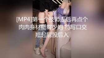 [MP4]第一个技师走后再点个 肉肉身材肥臀少妇 特写口交翘起屁股后入