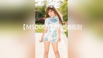 【MSD065】应酬潜规则