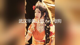 武汉华美达后入小母狗