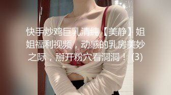 快手炒鸡巨乳清纯【美静】姐姐福利视频，动感的乳房美妙之际，掰开粉穴看洞洞！ (3)