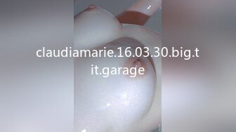 claudiamarie.16.03.30.big.tit.garage