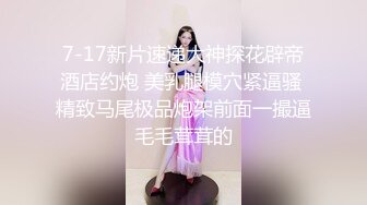 7-17新片速递大神探花辟帝酒店约炮 美乳腿模穴紧逼骚 精致马尾极品炮架前面一撮逼毛毛茸茸的